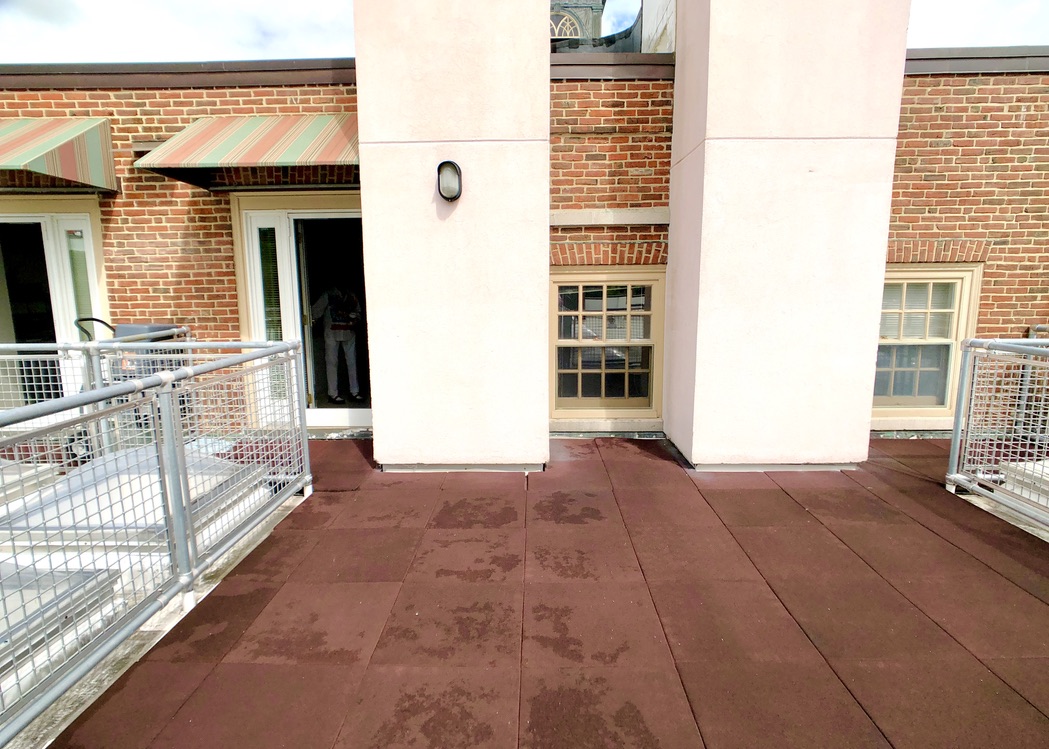 1 bed, 1 bath apartment for rent at 1600 Washington St Unit P-3, Newton — photo 2 of 21