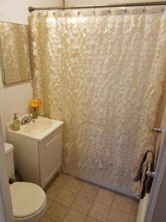 1 bed, 1 bath apartment for rent at 243 Lake St Unit 12, Lakeview — photo 11 of 18