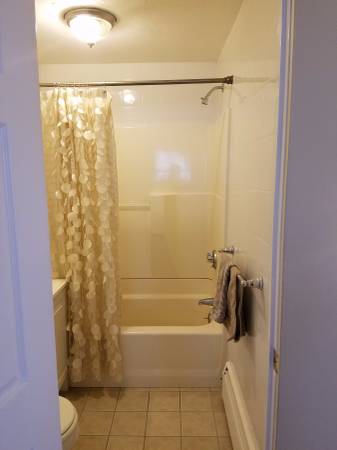 1 bed, 1 bath apartment for rent at 243 Lake St Unit 12, Lakeview — photo 12 of 18