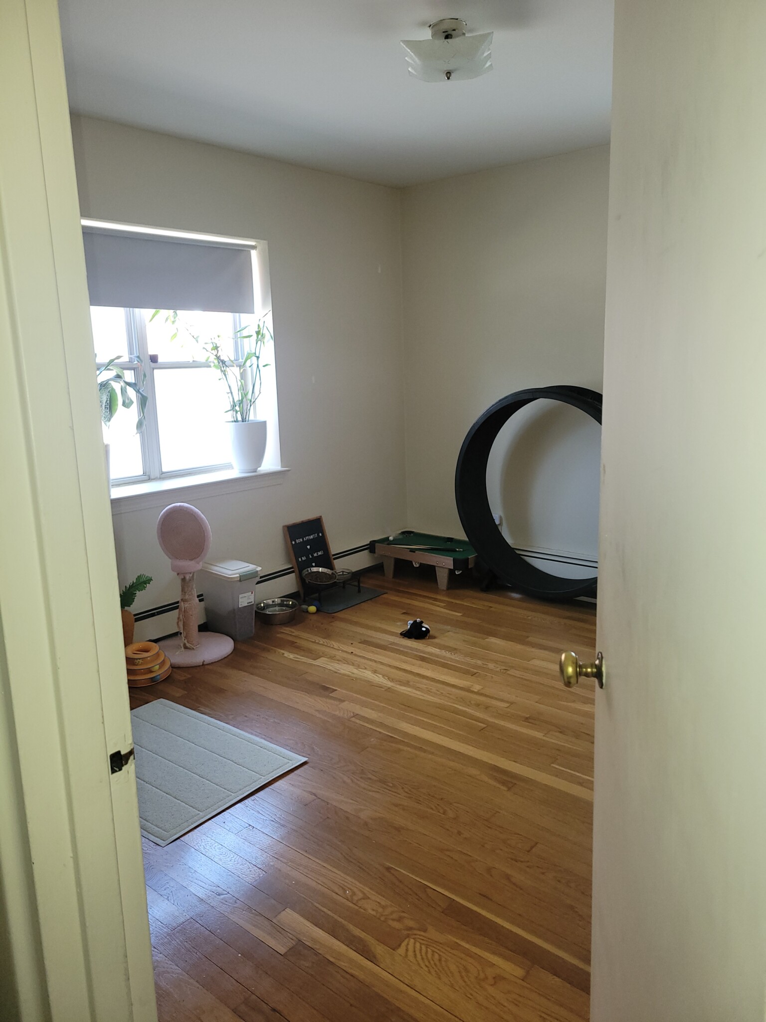 2 bed, 1 bath apartment for rent at 497 Centre St Unit 2, Newton Corner — photo 1 of 10
