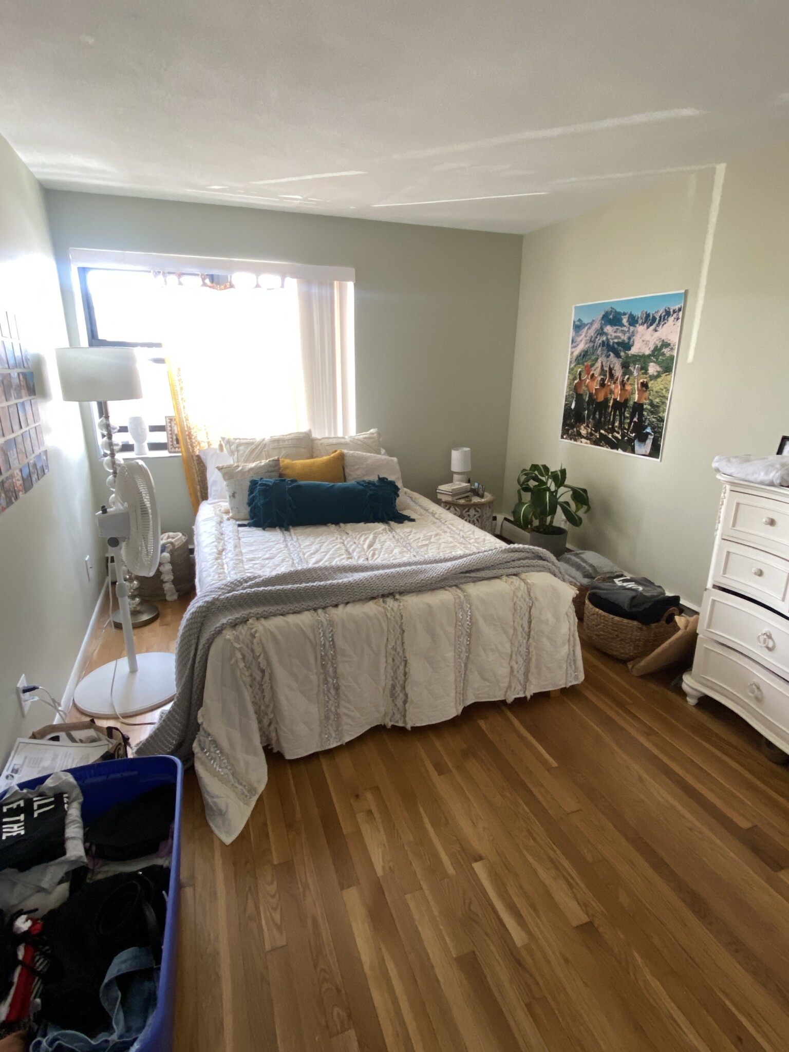 15 Leicester St, Brighton