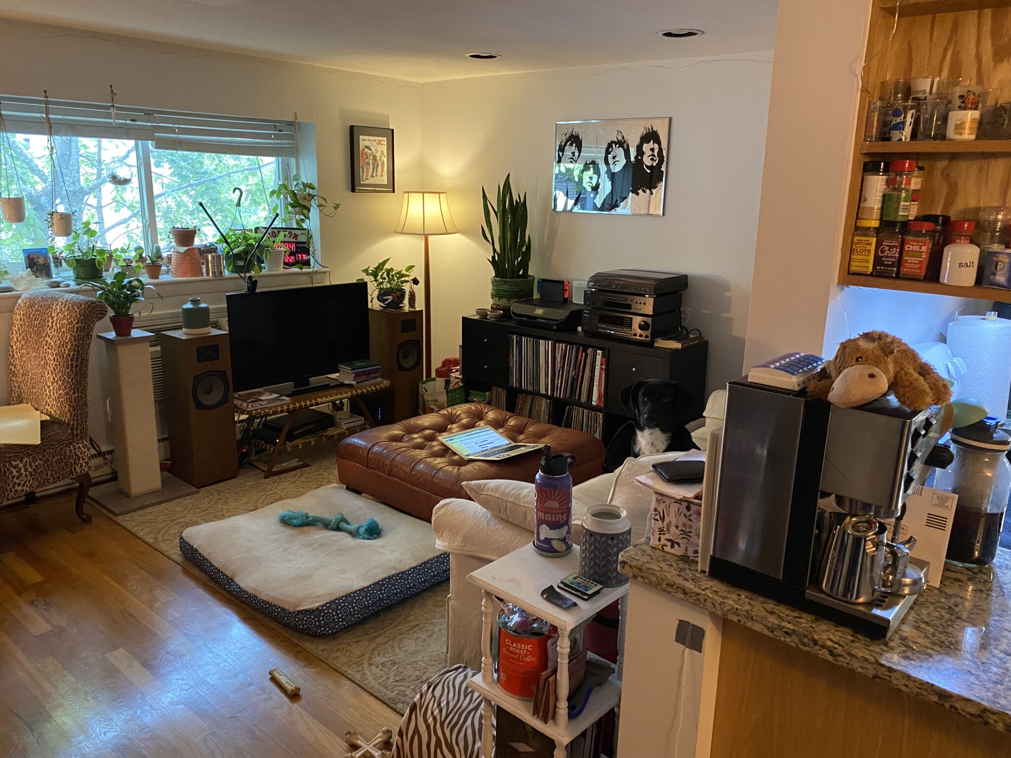 15 Euston Rd, Brighton