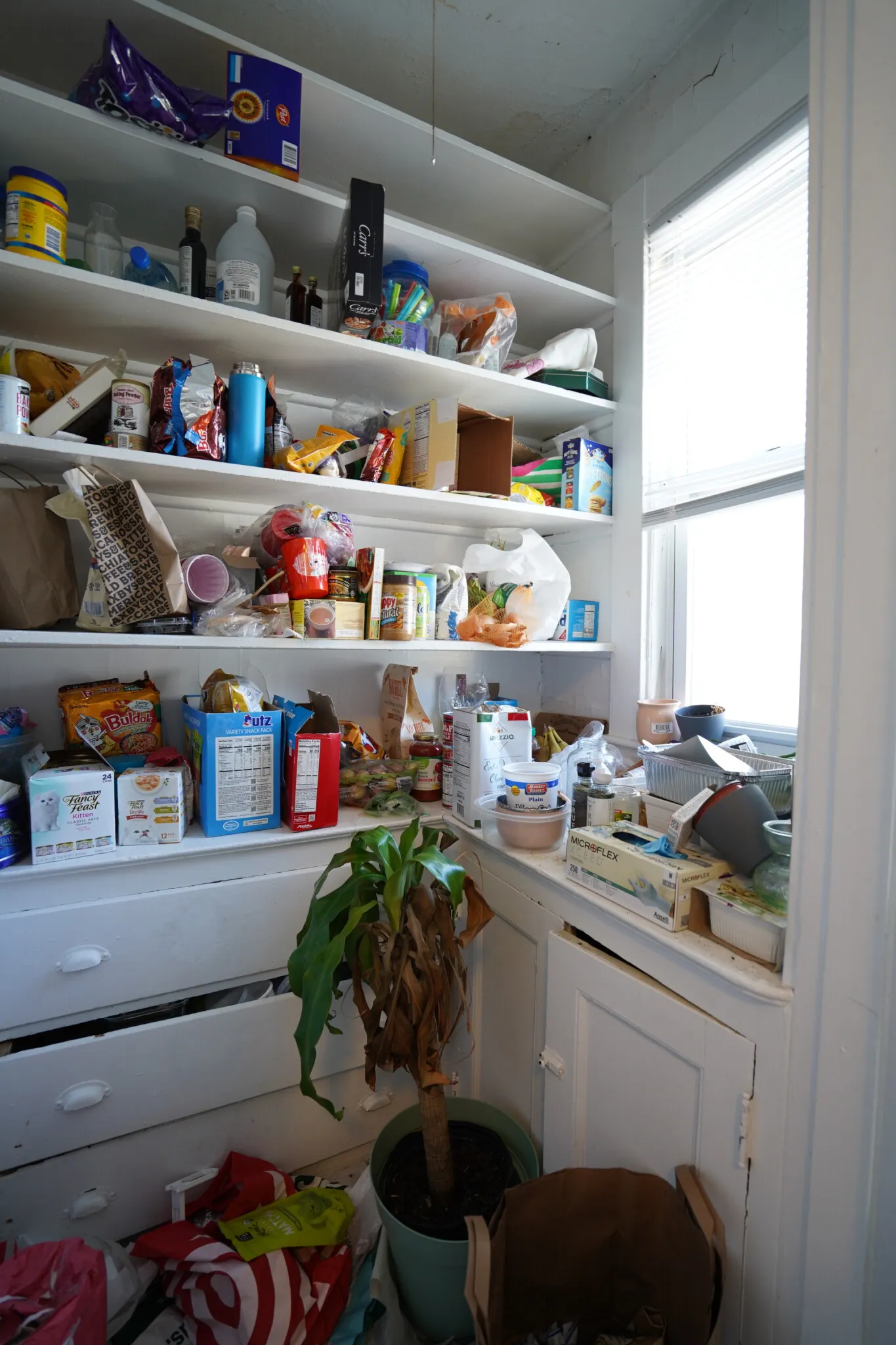 6 Ashford Ct, Allston