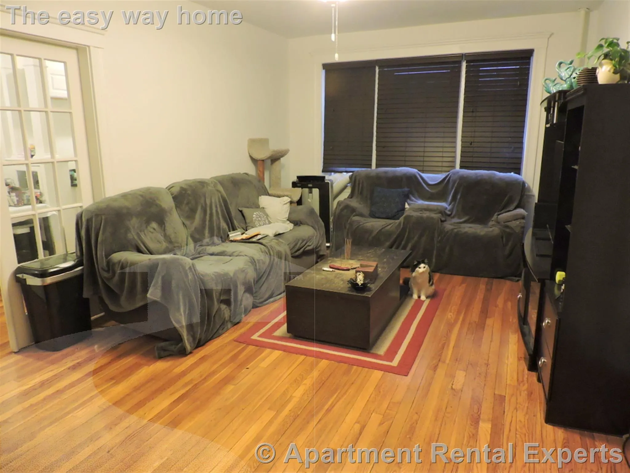 11 Gray St, Porter Square