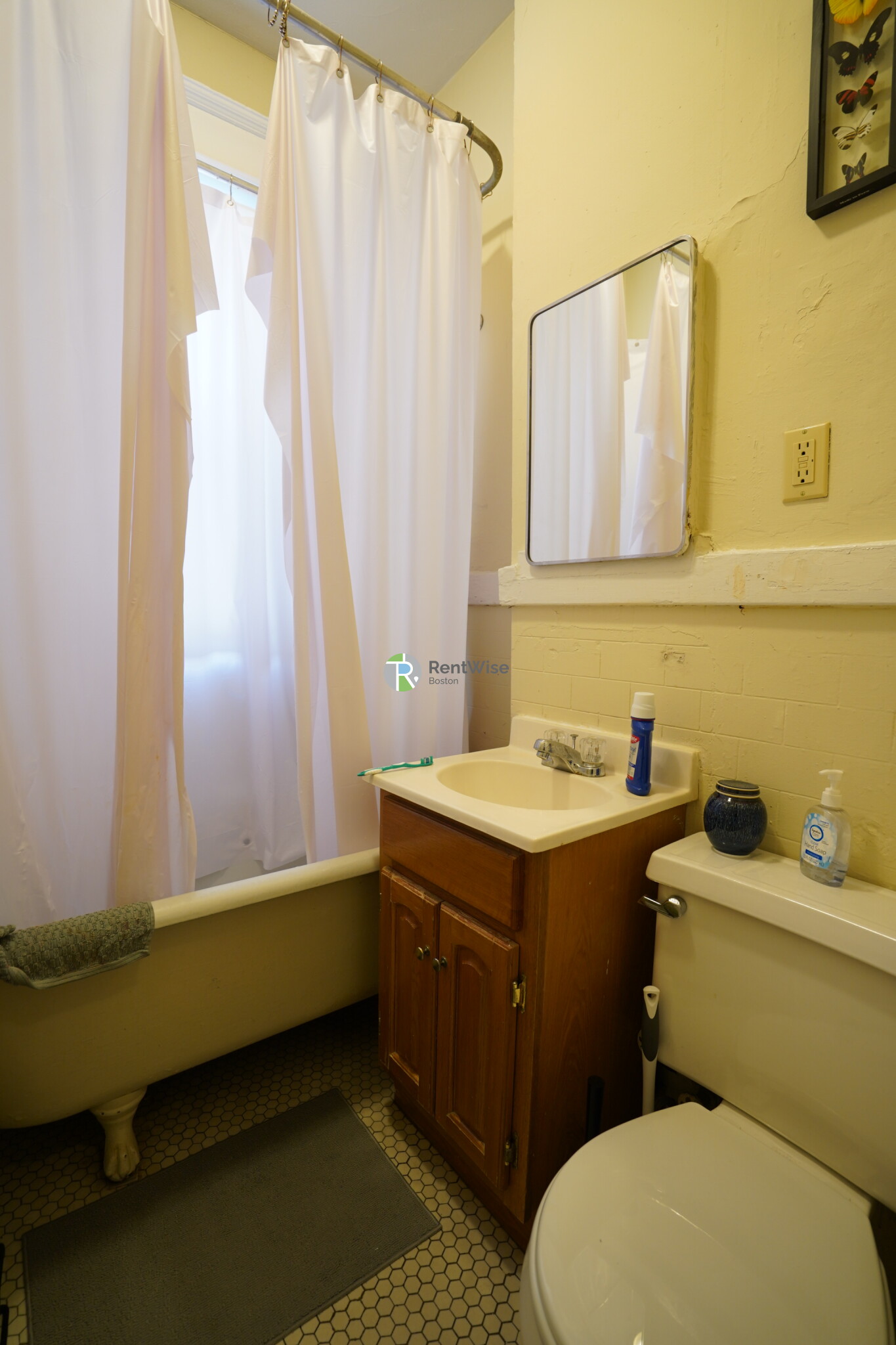 221 Kelton St, Brighton