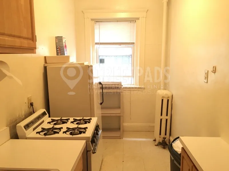 49 Worthington St, Mission Hill