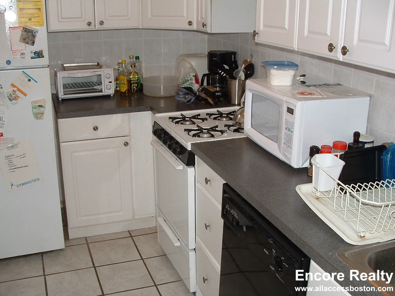 54 Egmont St, North Brookline