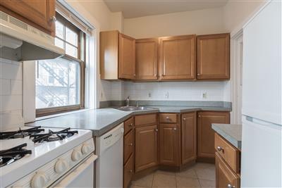 11 Linnaean St, Neighborhood Nine