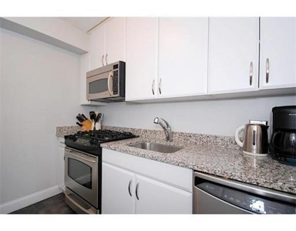 2 bed, 2 bath apartment for rent at 33 Pond Ave Unit 524, Brookline Village — photo 4 of 4