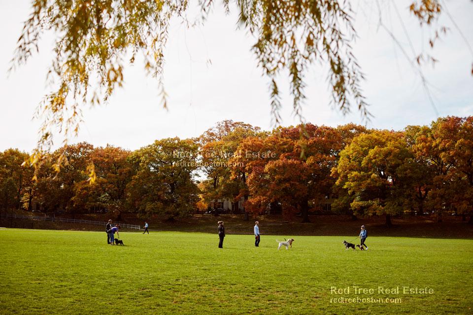 1223 Beacon St, Brookline