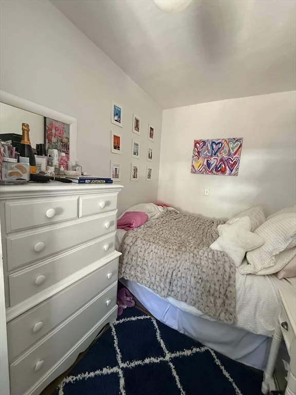 234 W Canton, South End