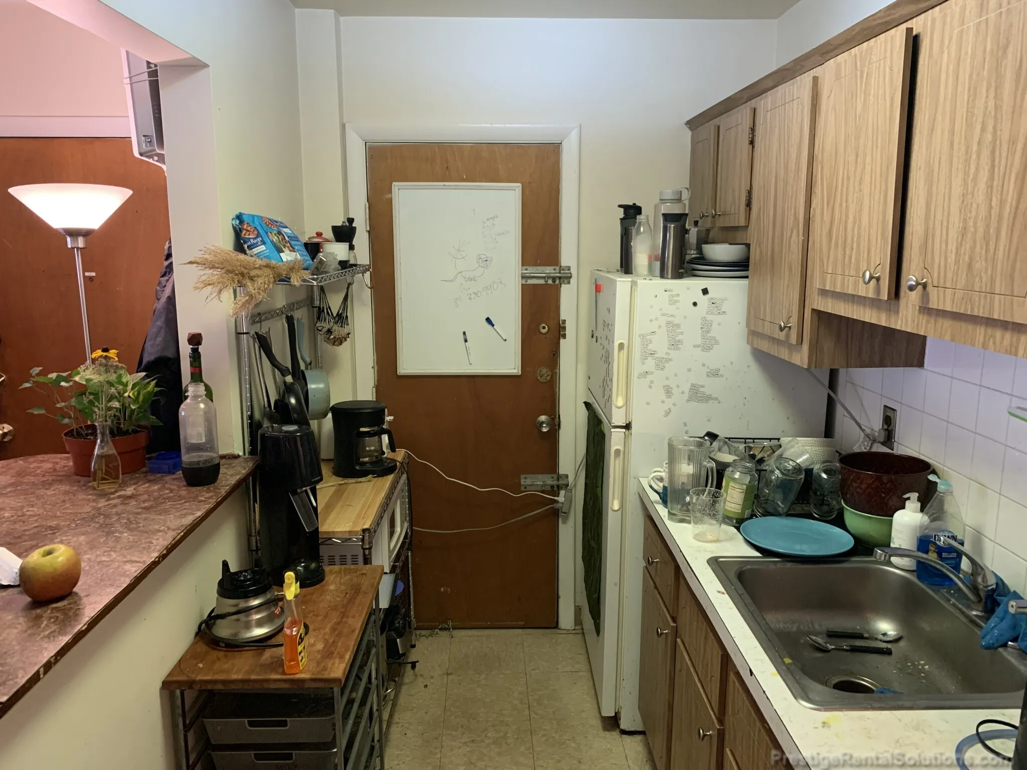 30 Allston St, Brighton