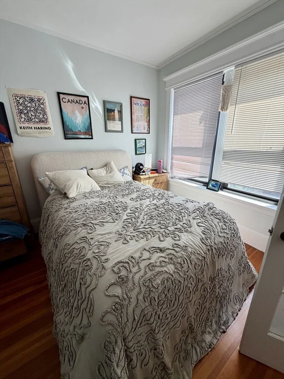 5 Winchester, Coolidge Corner