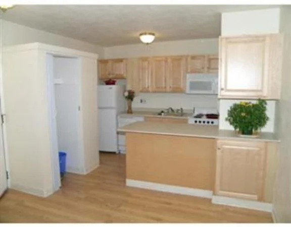 123 Sewall Ave, Coolidge Corner