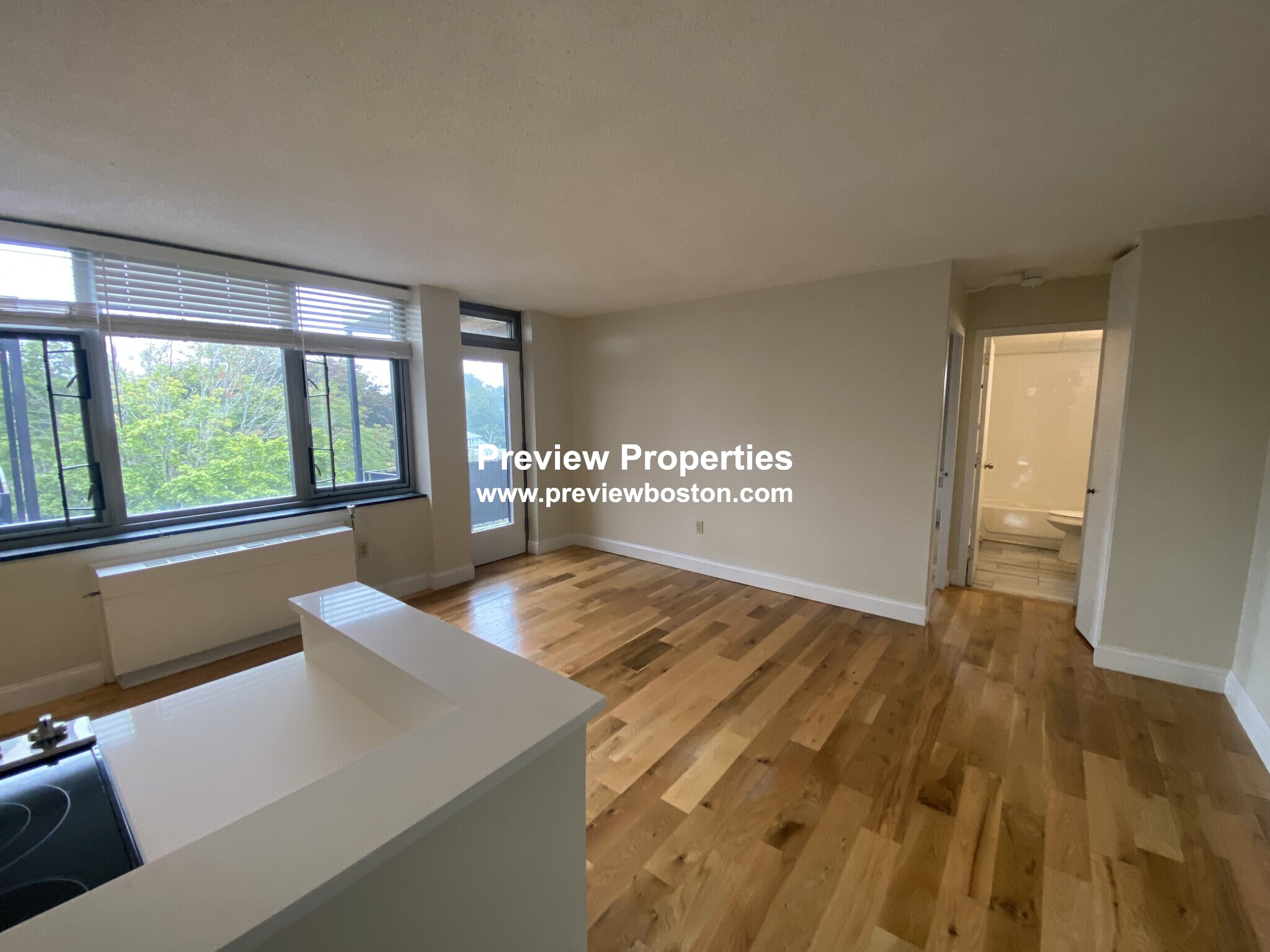 125 Trapelo Rd, Belmont