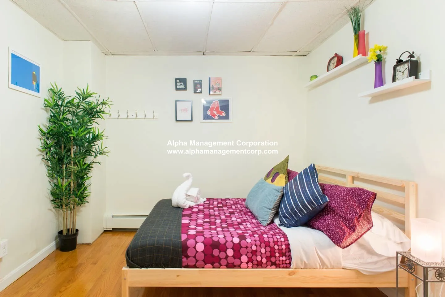 43 Bay State Rd, Fenway