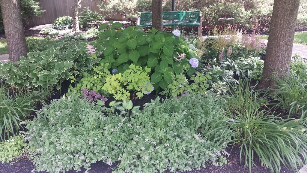 975 Massachusets Ave, Arlington