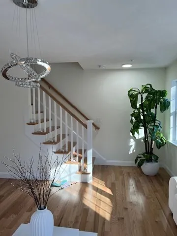 35 Fredonian St, Shirley