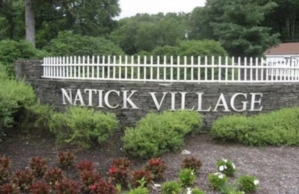 59 Village Brook Ln, Natick