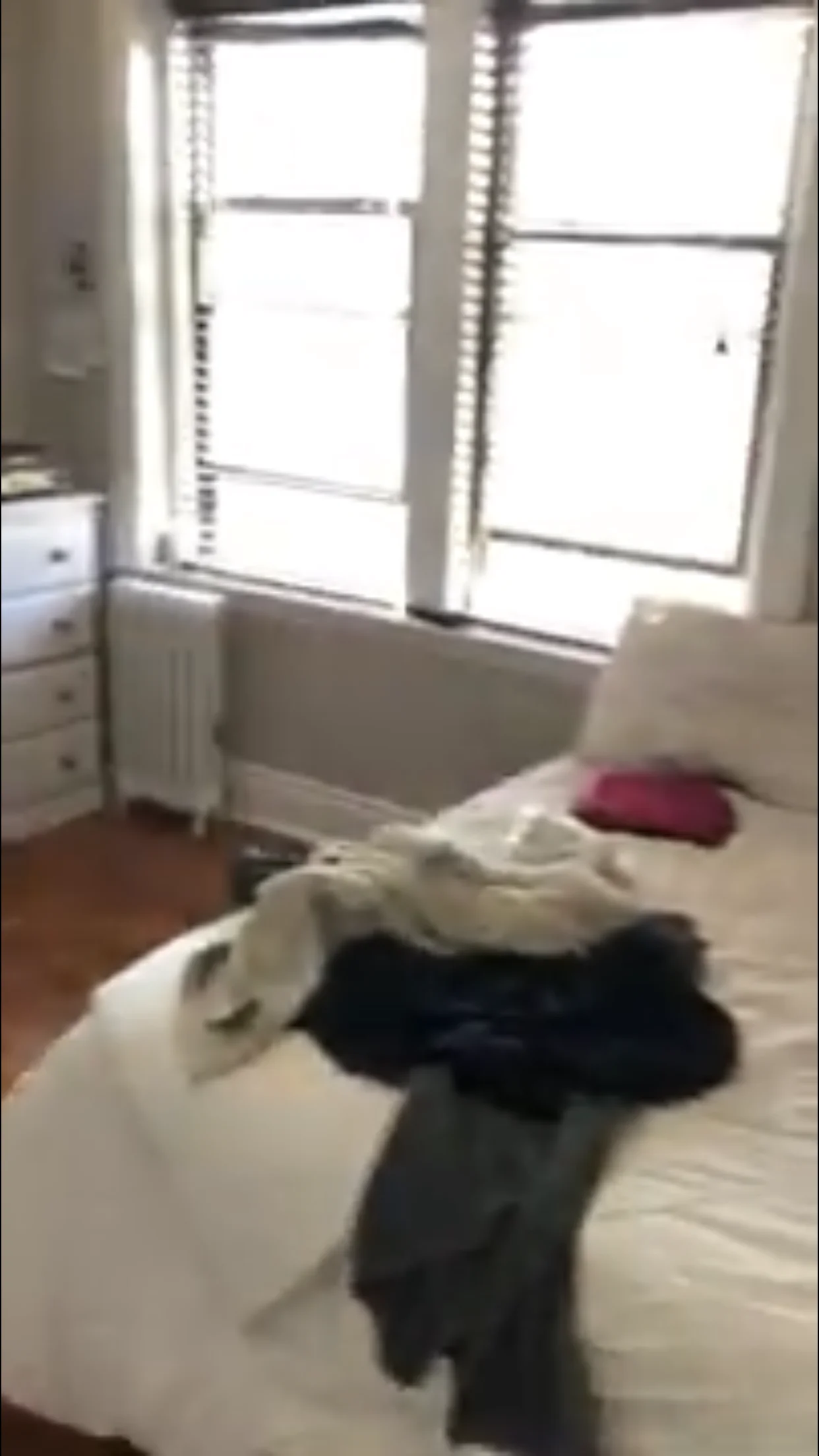 52 Charlesgate East, Fenway