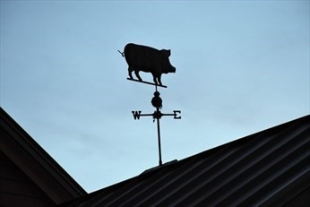 21 Skyview Ln, Webster