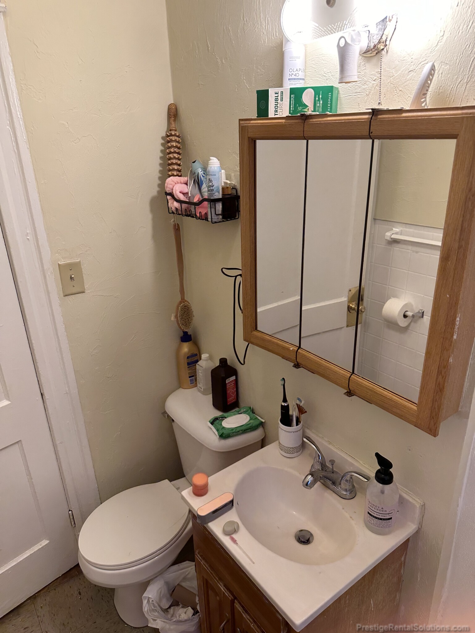 217 Kelton St, Brighton