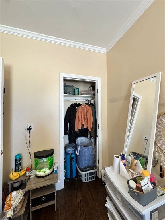 47 Dalrymple, Jamaica Plain