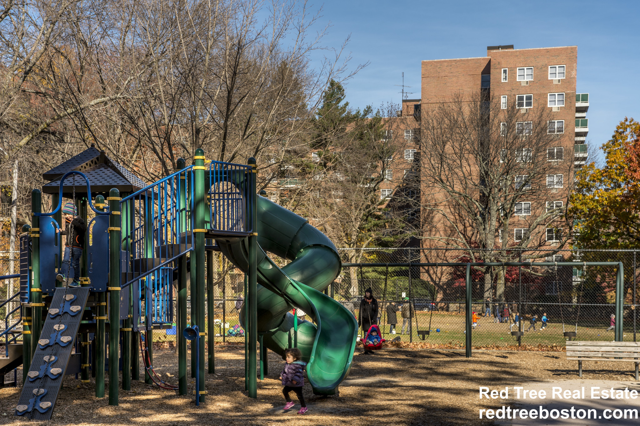 175 Freeman St, North Brookline