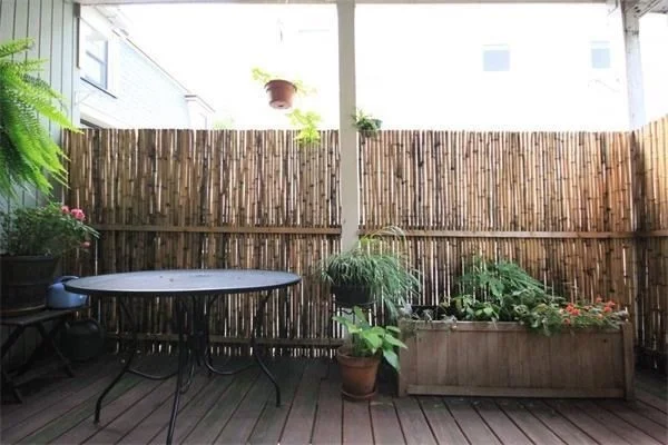 176 Hillside St, Mission Hill