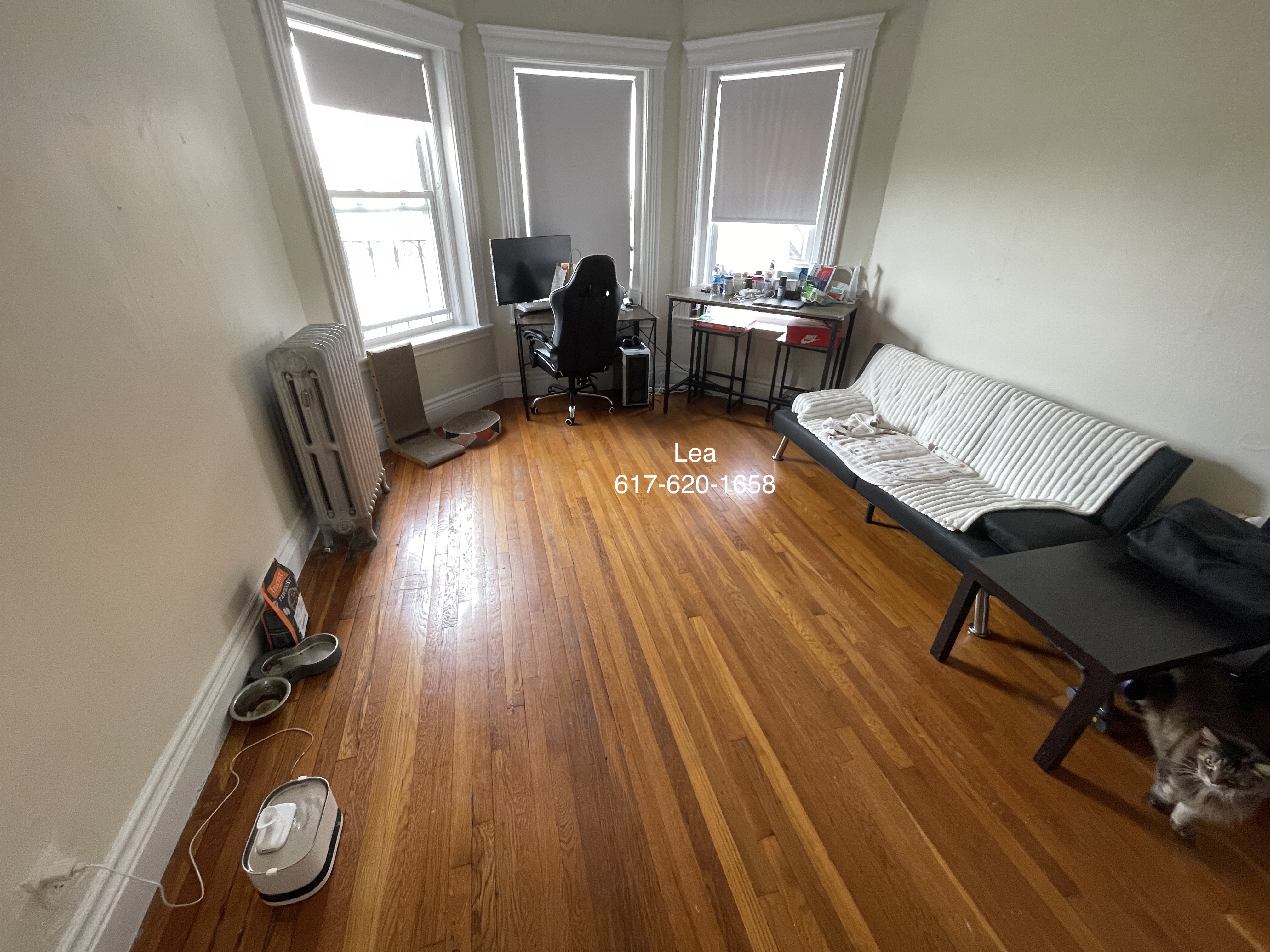 5 Walbridge St, Brighton