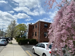 1 bed, 1 bath apartment for rent at 21 Myrtle St Unit 4, Malden — photo 2 of 11
