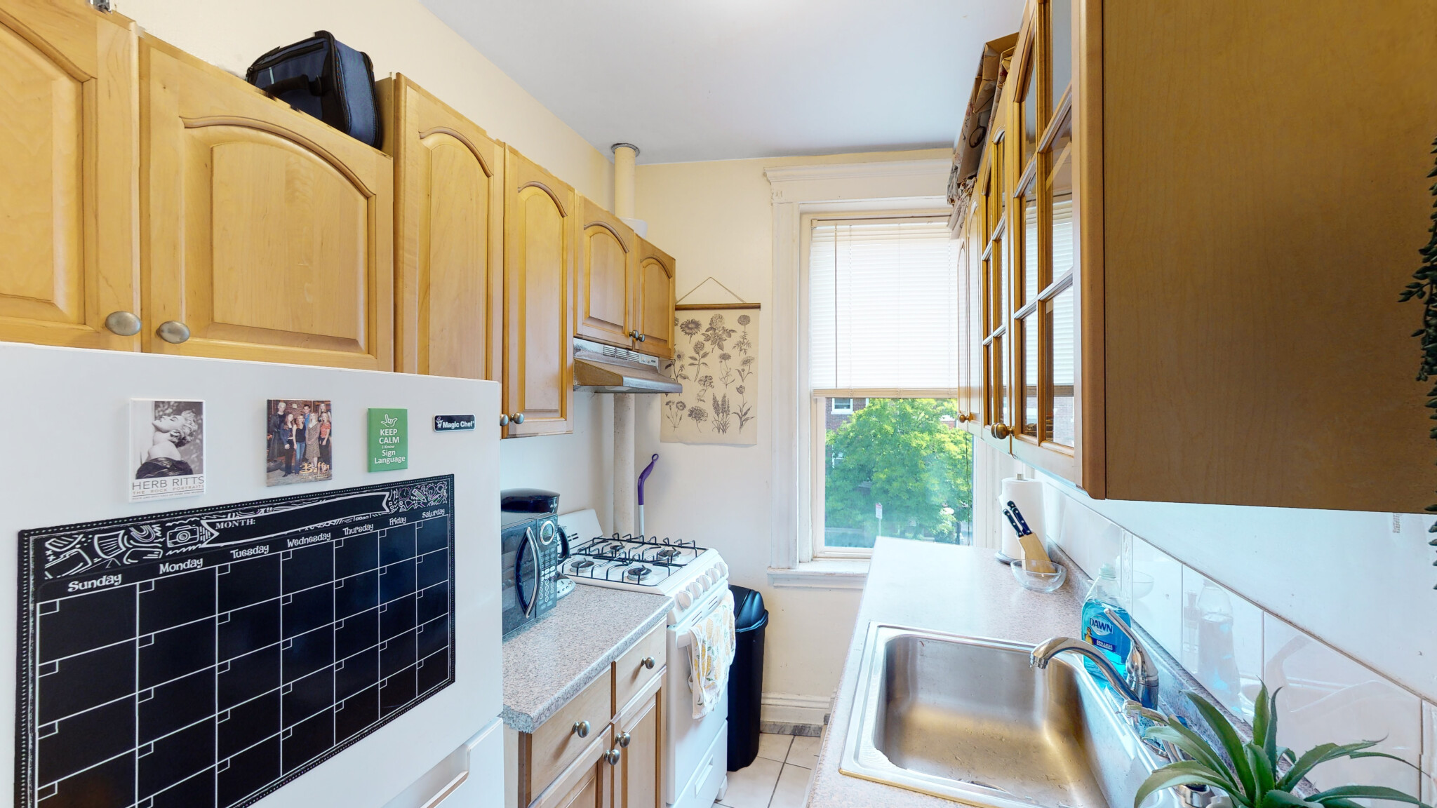 33 Walbridge St, Allston