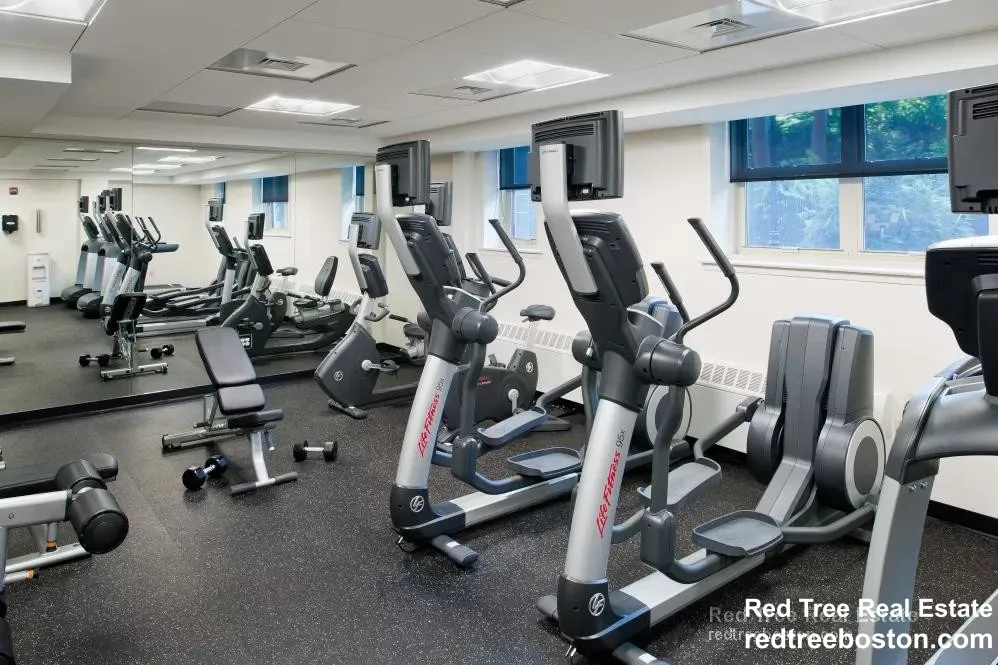 10 Camelot Ct, Brighton