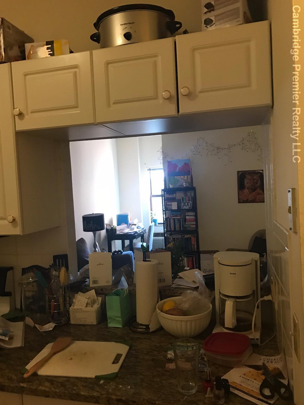 2 bed, 2 bath apartment for rent at 373 Highland Ave Unit 219, Davis Square — photo 3 of 9