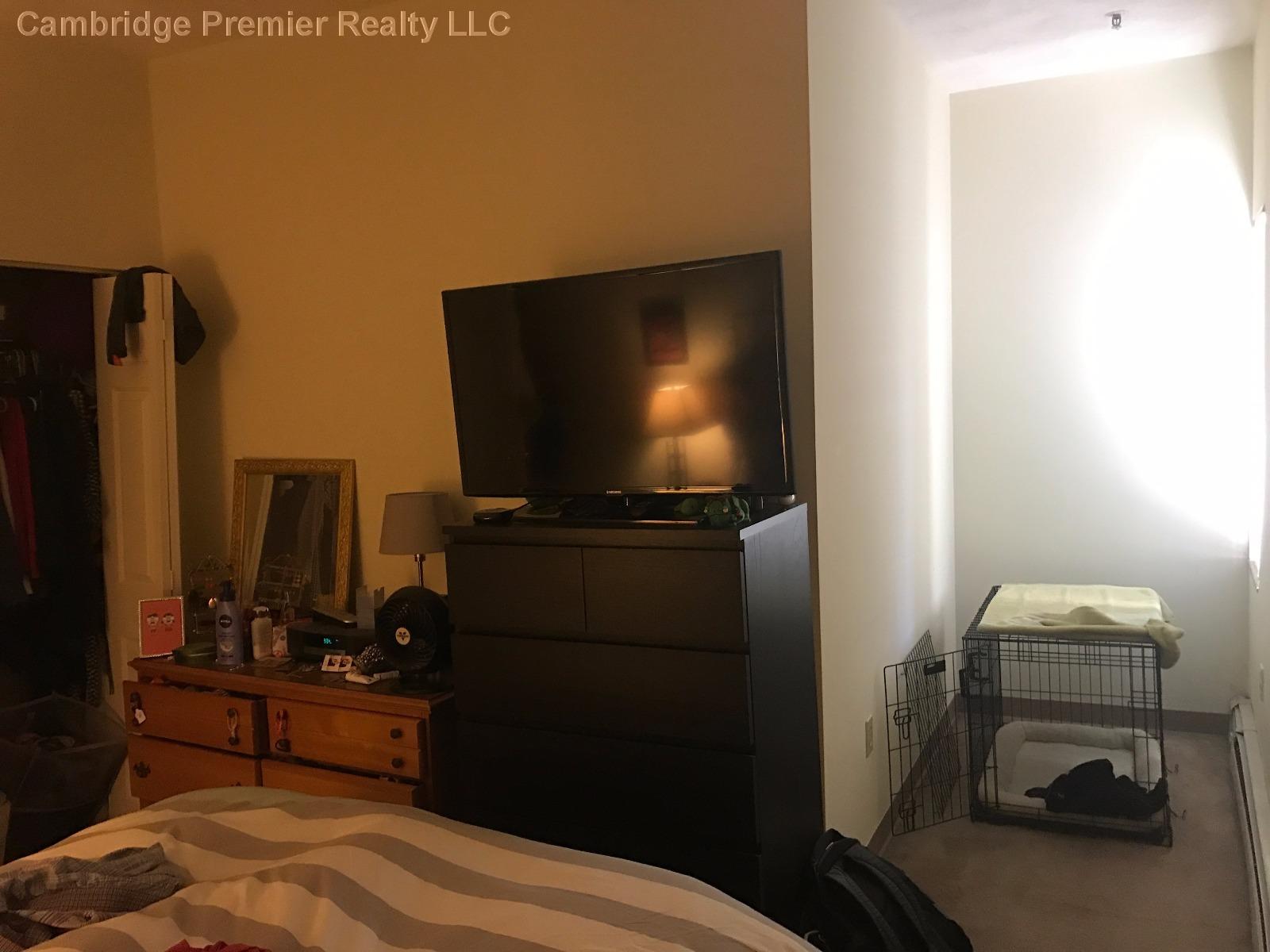 2 bed, 2 bath apartment for rent at 373 Highland Ave Unit 219, Davis Square — photo 5 of 9