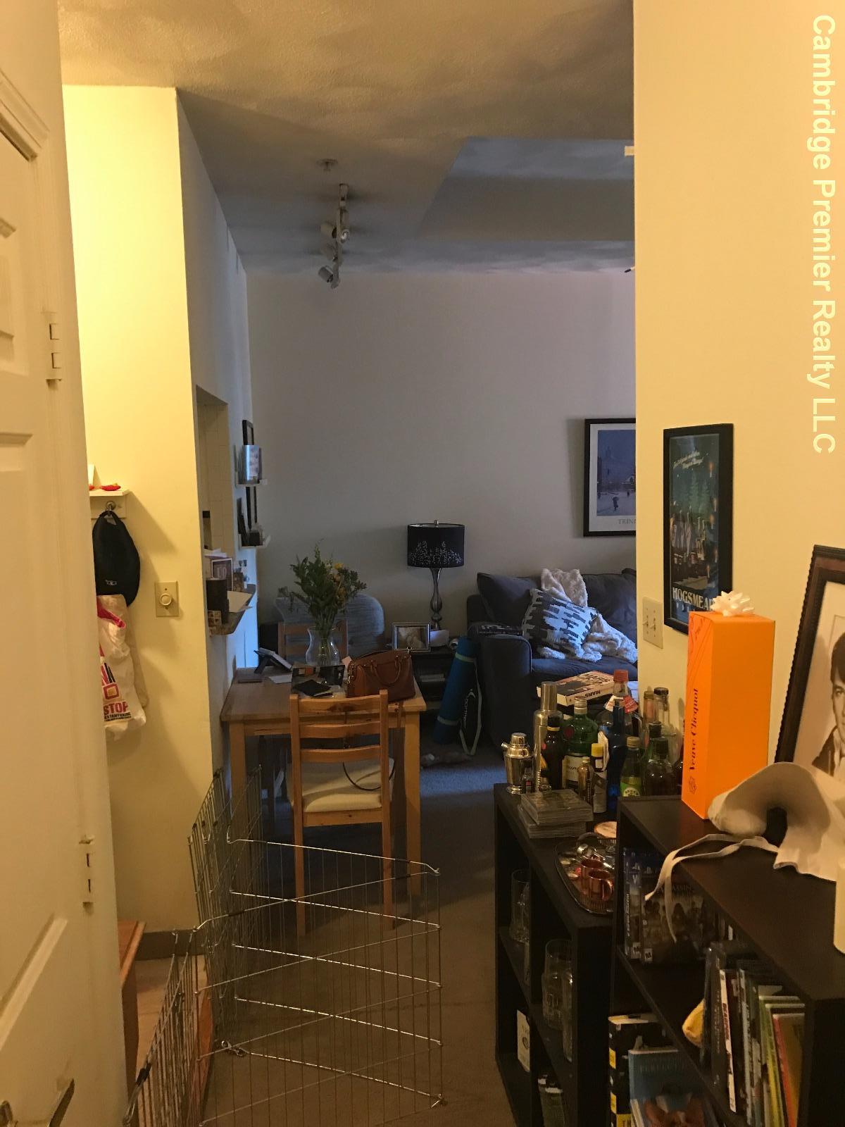 2 bed, 2 bath apartment for rent at 373 Highland Ave Unit 219, Davis Square — photo 7 of 9