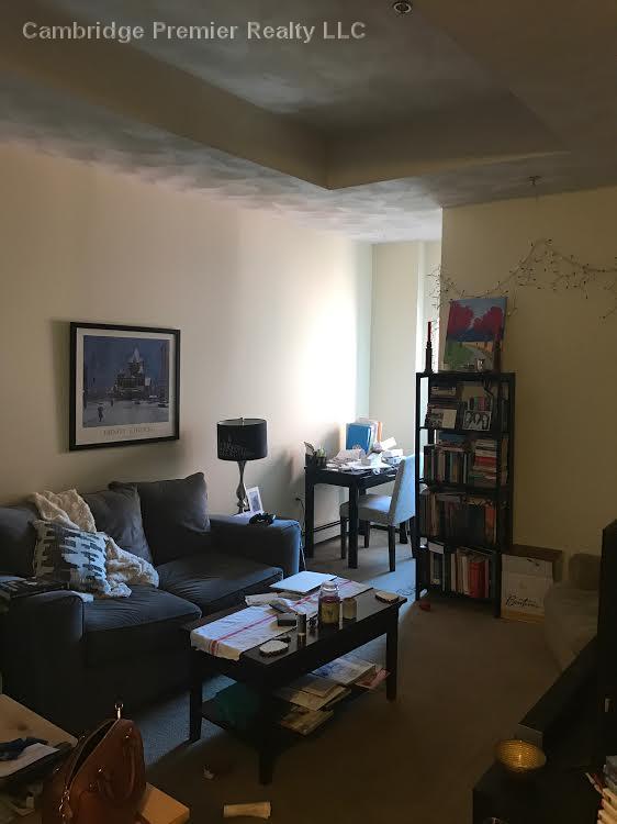 2 bed, 2 bath apartment for rent at 373 Highland Ave Unit 219, Davis Square — photo 8 of 9