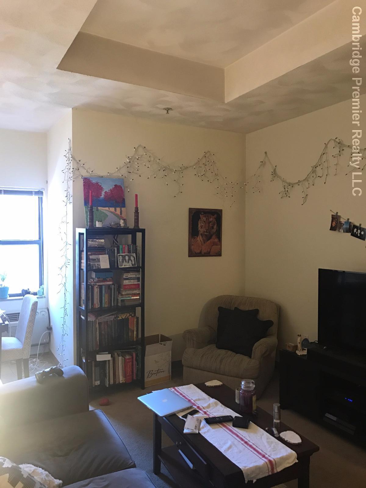 2 bed, 2 bath apartment for rent at 373 Highland Ave Unit 219, Davis Square — photo 9 of 9