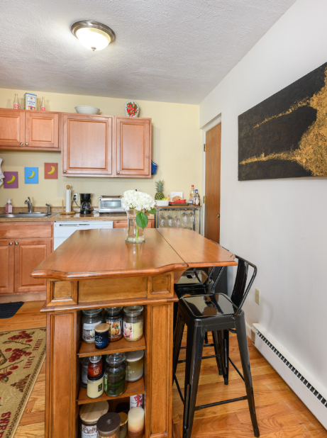 259 Summer St, Spring Hill