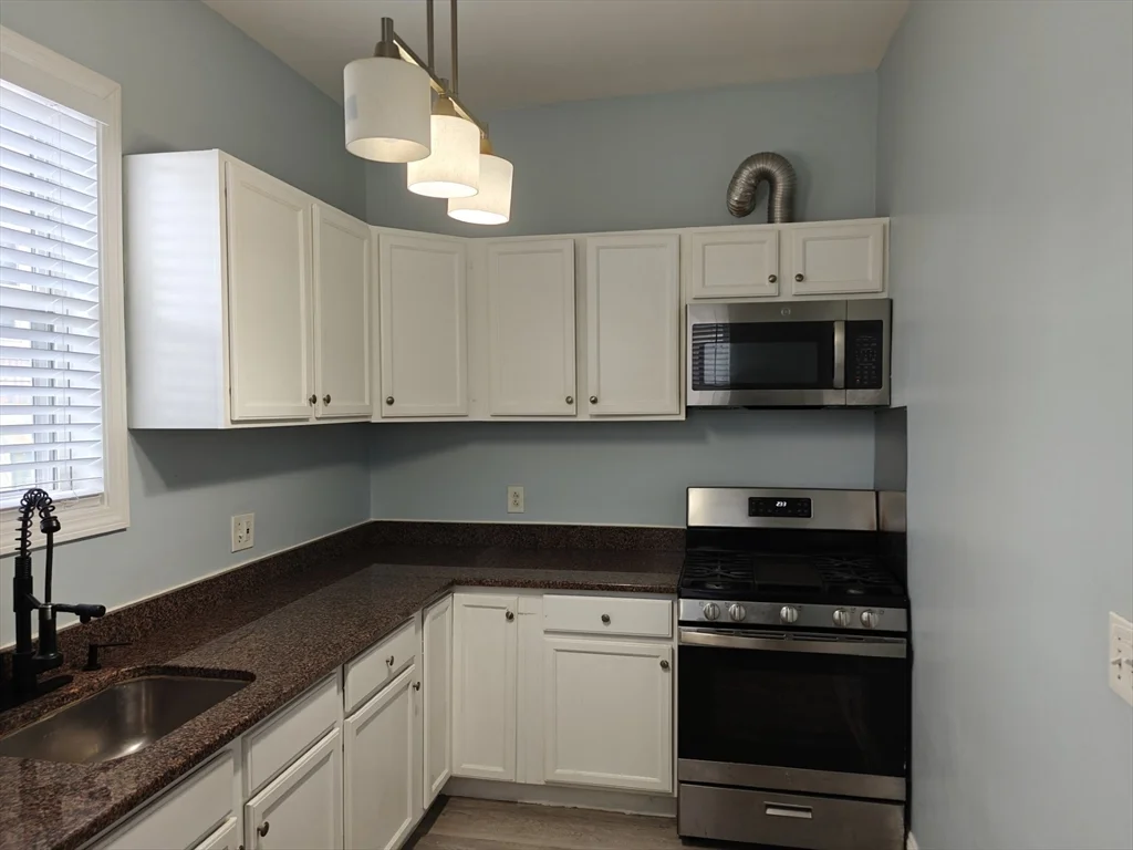 102 Mount Pleasant Ave, Roxbury