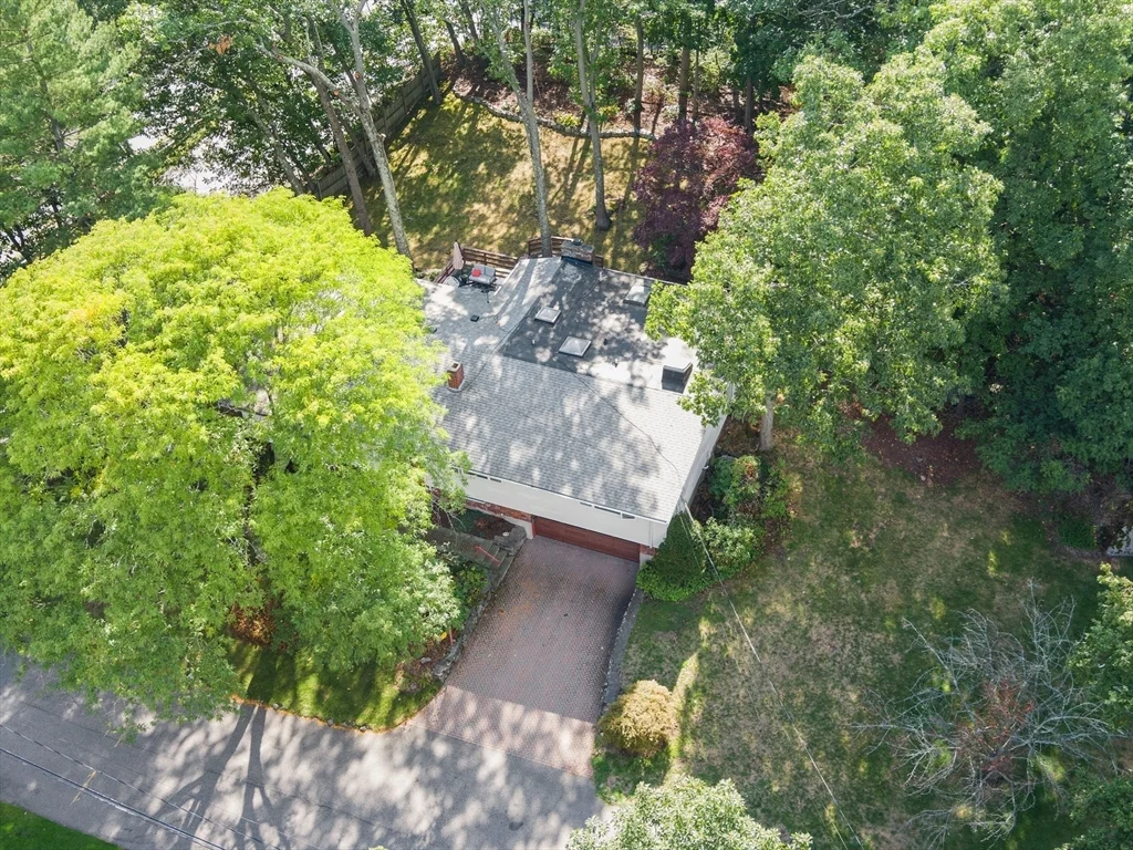 6 Nelson Dr, Chestnut Hill