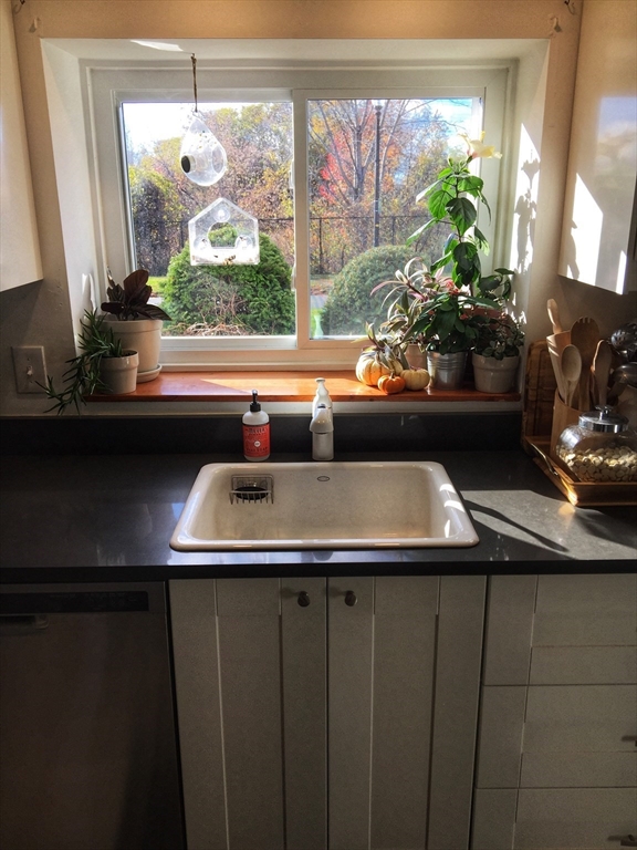 216 Harvey St, North Cambridge