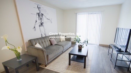 5 Darling St, Mission Hill