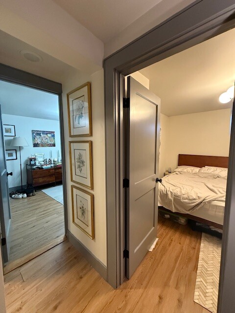 41 Long Ave, Brighton