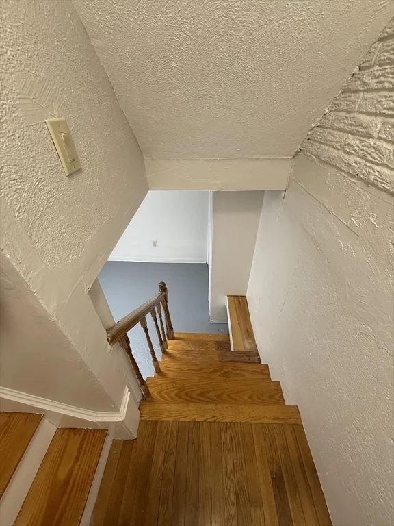 39 Silvia Ct, Hyde Park