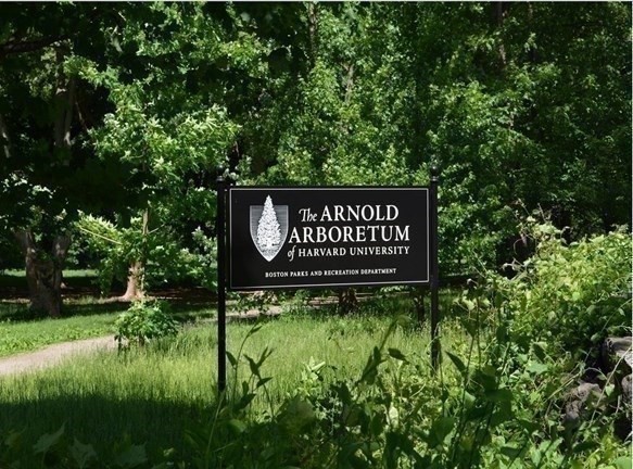 133-135 Hyde Park Ave, Jamaica Plain