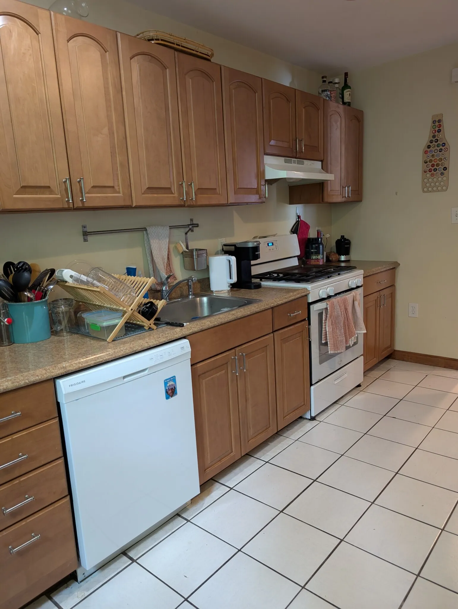 27 North Crescent Circuit, Brighton