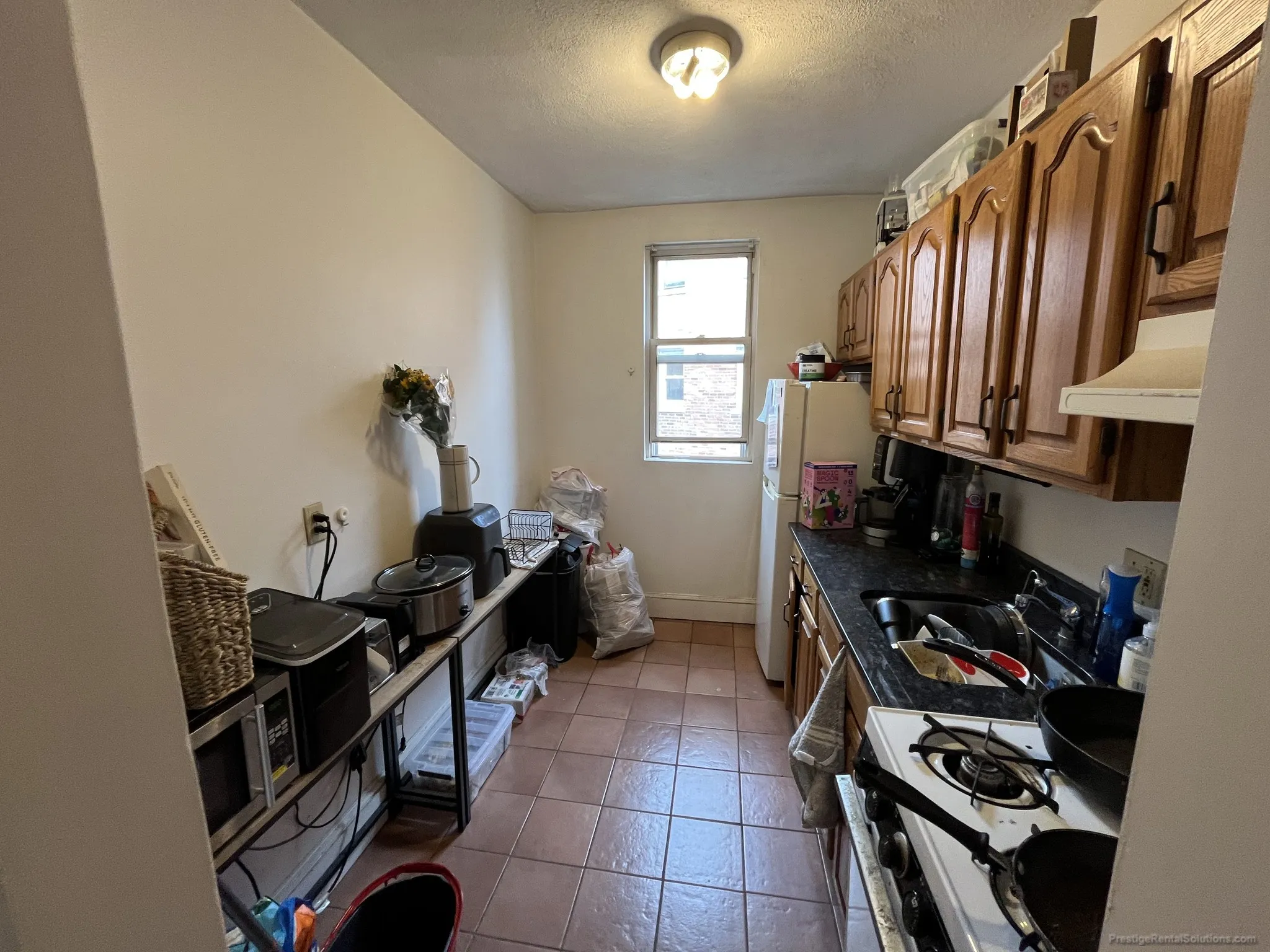 11 Scottfield Rd, Brighton