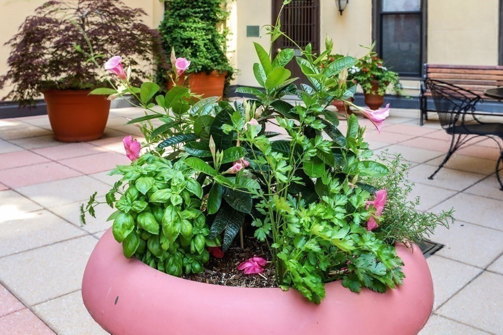 4 Charlesgate East, Back Bay