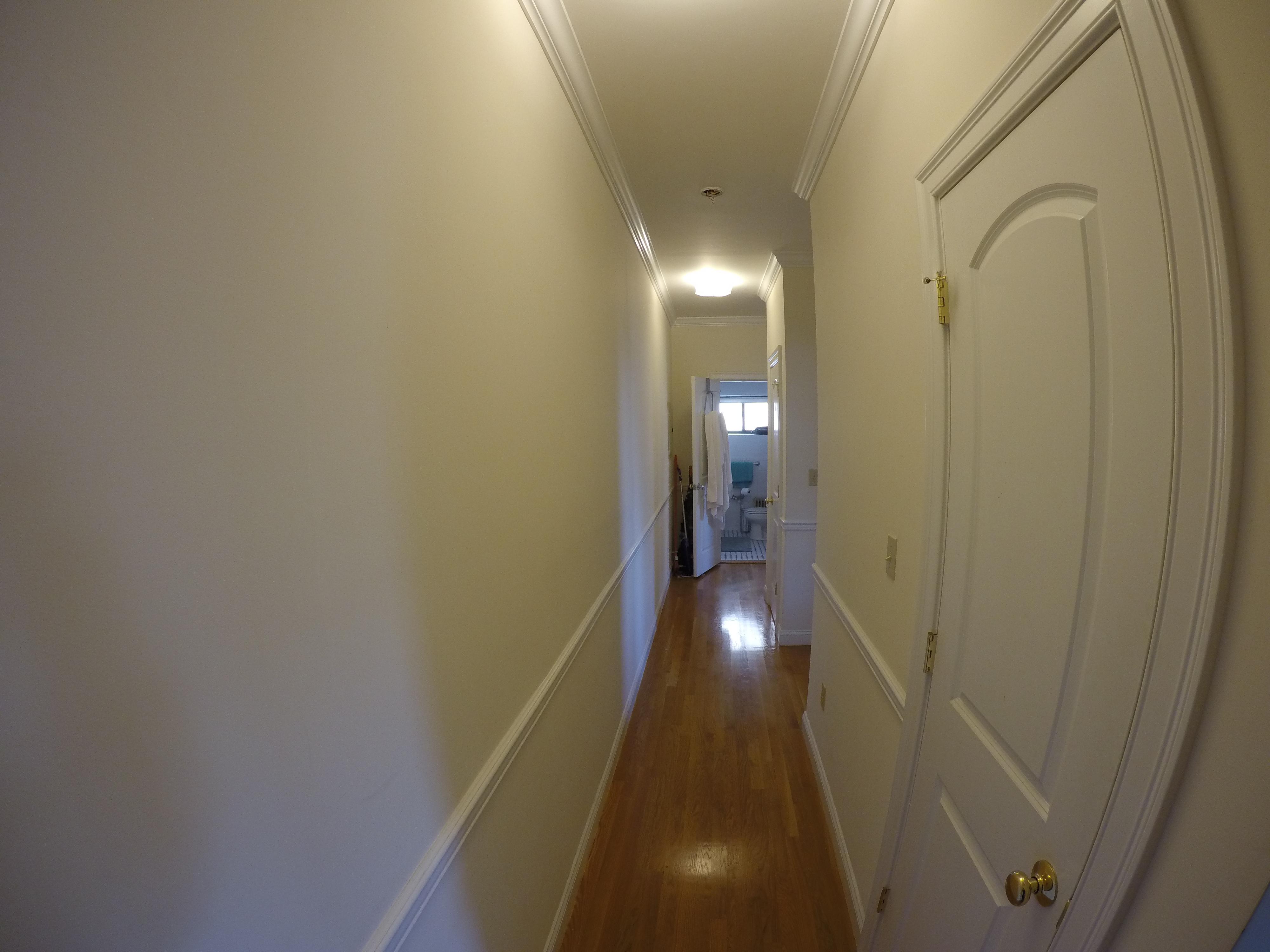 1 bed, 1 bath apartment for rent at 2 Ware St Unit 19, Harvard Square — photo 2 of 2